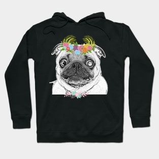 Cute Puppy with big Eyes Hoodie